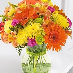 Bloom's Flower Shop