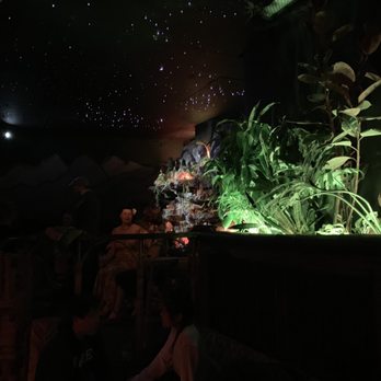 Pagan Idol - A starry night at the tropical grotto - Tiki Bars Near Me - San Francisco, California Pagan Idol - A starry night at the tropical grotto - Tiki Bars Near Me - San Francisco, California