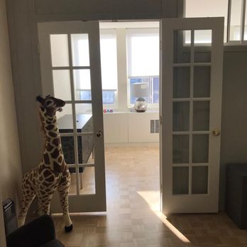 Boston Room Dividers - Door Sales/Installation Near Me