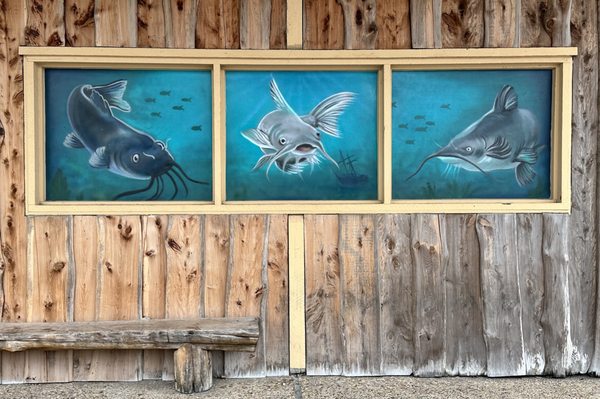 Cherry Creek Catfish by null