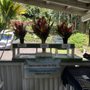 Photo of Kailani's Gift Shop
