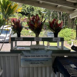 Kailani's Gift Shop