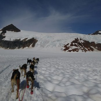 Alaska Icefield Expeditions - Tours Near Me