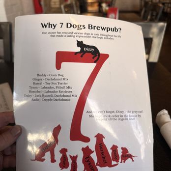 7 Dogs Brewpub - Brewpubs Near Me - Wytheville, Virginia