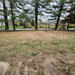 ADM Tree Services - After photo of the stump removal job that was performed.