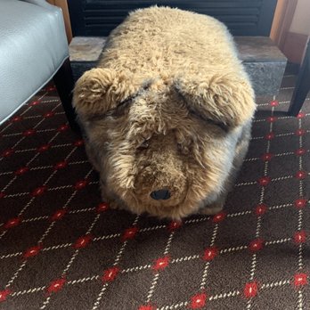 The Edgewater Hotel - Callie foot stool - Hotels Near Me - Seattle, Washington The Edgewater Hotel - Callie foot stool - Hotels Near Me - Seattle, Washington