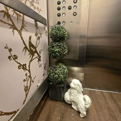 The Dutchess - Even the elevator is decorated!