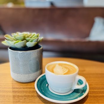 Vellichor Coffee Roasters - Cappuccino - Coffee & Tea Near Me - Littleton, Colorado