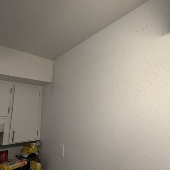 Spotless Direct - Home Cleaning Near Me