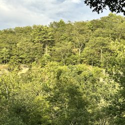 Deerpark NYC Campground