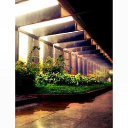 UnB - Universidade de Brasília