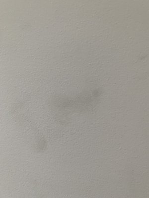 Coleman Worldwide Moving 715 Whitfield St Fayetteville Nc Furniture Movers Mapquest