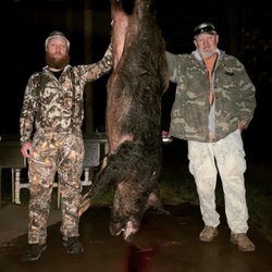 Woods N Water - My 209lb boar taken 2/20/22
