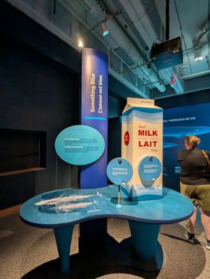 North Carolina Museum of Natural Sciences by null