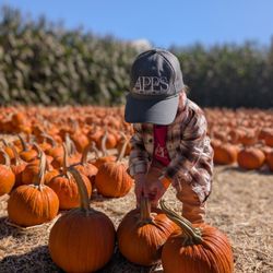 Almaden Parents Preschool - Field trip to Spina Farms