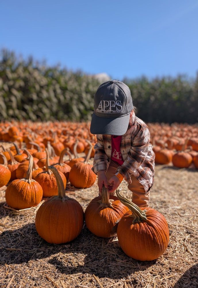 Almaden Parents Preschool - childcare center in San Jose, CA