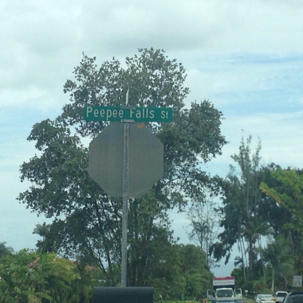 Pe'epe'e Falls & Boiling Pots - A part of my brain, of which I am thoroughly embarrassed, giggles at this sign. - Parks Near Me - Hilo, Hawaii Pe'epe'e Falls & Boiling Pots - A part of my brain, of which I am thoroughly embarrassed, giggles at this sign. - Parks Near Me - Hilo, Hawaii