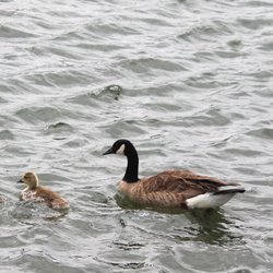 Seamans Neck Park - Family outing