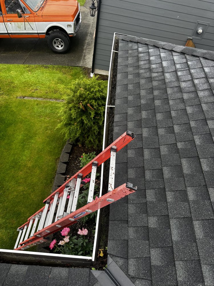 Slide of Apex Pro Kleening