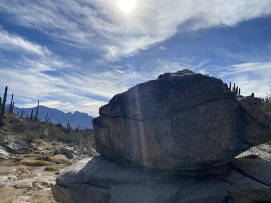 Honey Bee Canyon by null