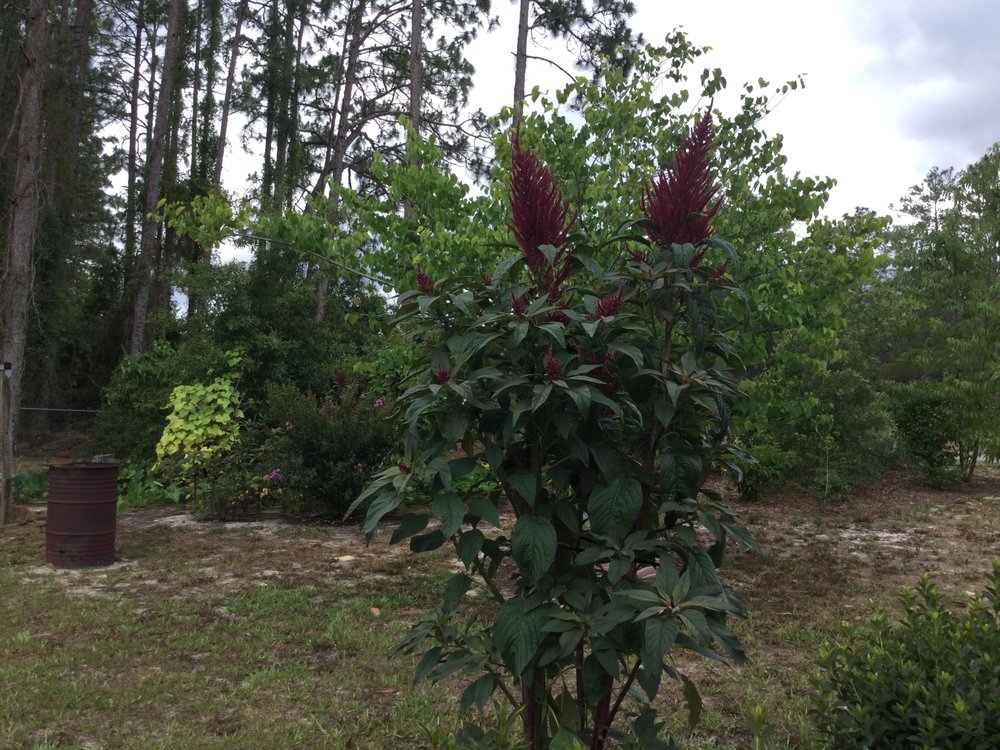 Slide of AAA Roofing