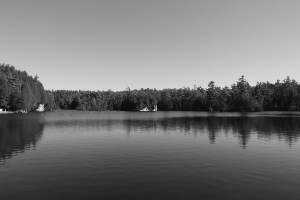 Rockwood Conservation Area by null