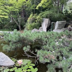 Yashiro Japanese Garden