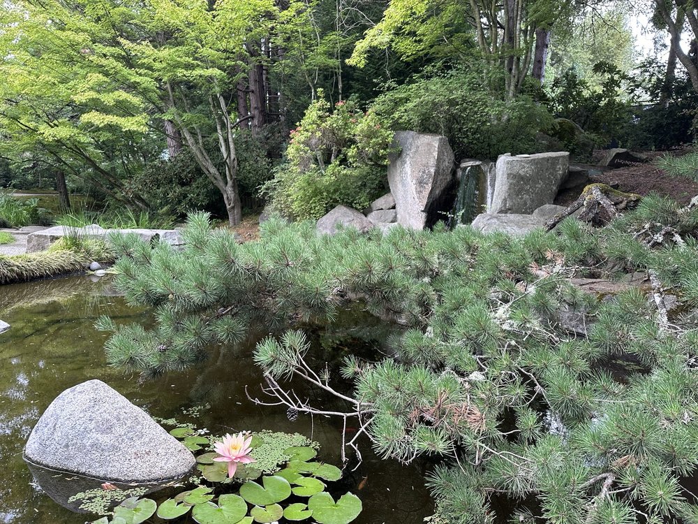 Yashiro Japanese Garden Logo