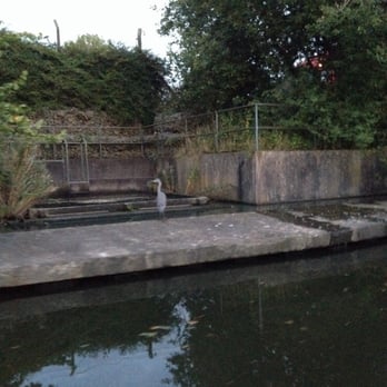 Dry Barge - Spotted a heron - Boat Charters Near Me - Manchester, XGM