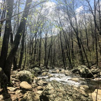 White Oak Canyon Trail - Hiking Near Me - Syria, Virginia