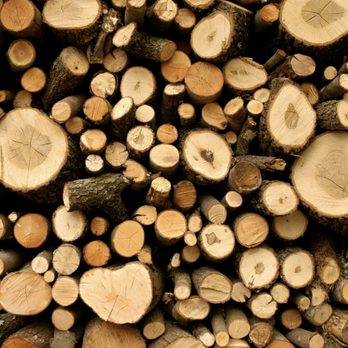The Firewood Gals - Firewood Near Me - Longview, Texas The Firewood Gals - Firewood Near Me - Longview, Texas
