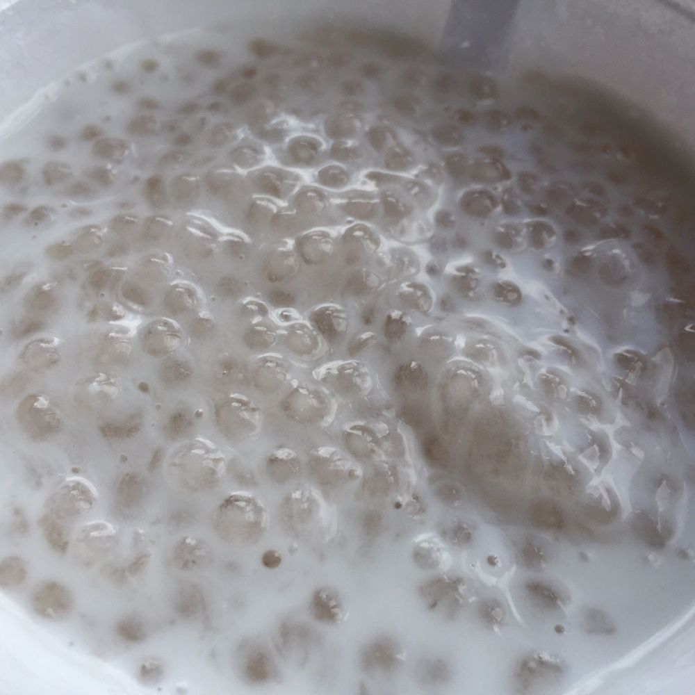 Craving Thai - Best tapioca pudding of my life!!!! So good - Thai Near Me - Koloa, Hawaii Craving Thai - Best tapioca pudding of my life!!!! So good - Thai Near Me - Koloa, Hawaii