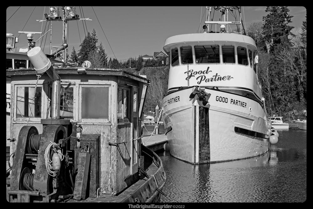 ELOCHOMAN MARINA Updated September 2024 16 Photos 500 2nd St