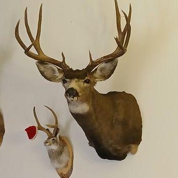 Redview Wildlife Taxidermy - Taxidermy Near Me - Richfield, Utah Redview Wildlife Taxidermy - Taxidermy Near Me - Richfield, Utah