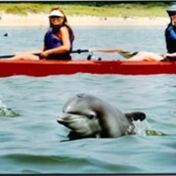 Kayak Nature Tours - Kayaking with the Dolphins in Virginia Beach, Va. and Kayak Nature Tours, Ltd.