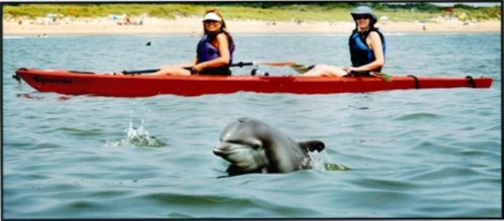 Kayak Nature Tours Logo