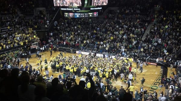 Matthew Knight Arena by null