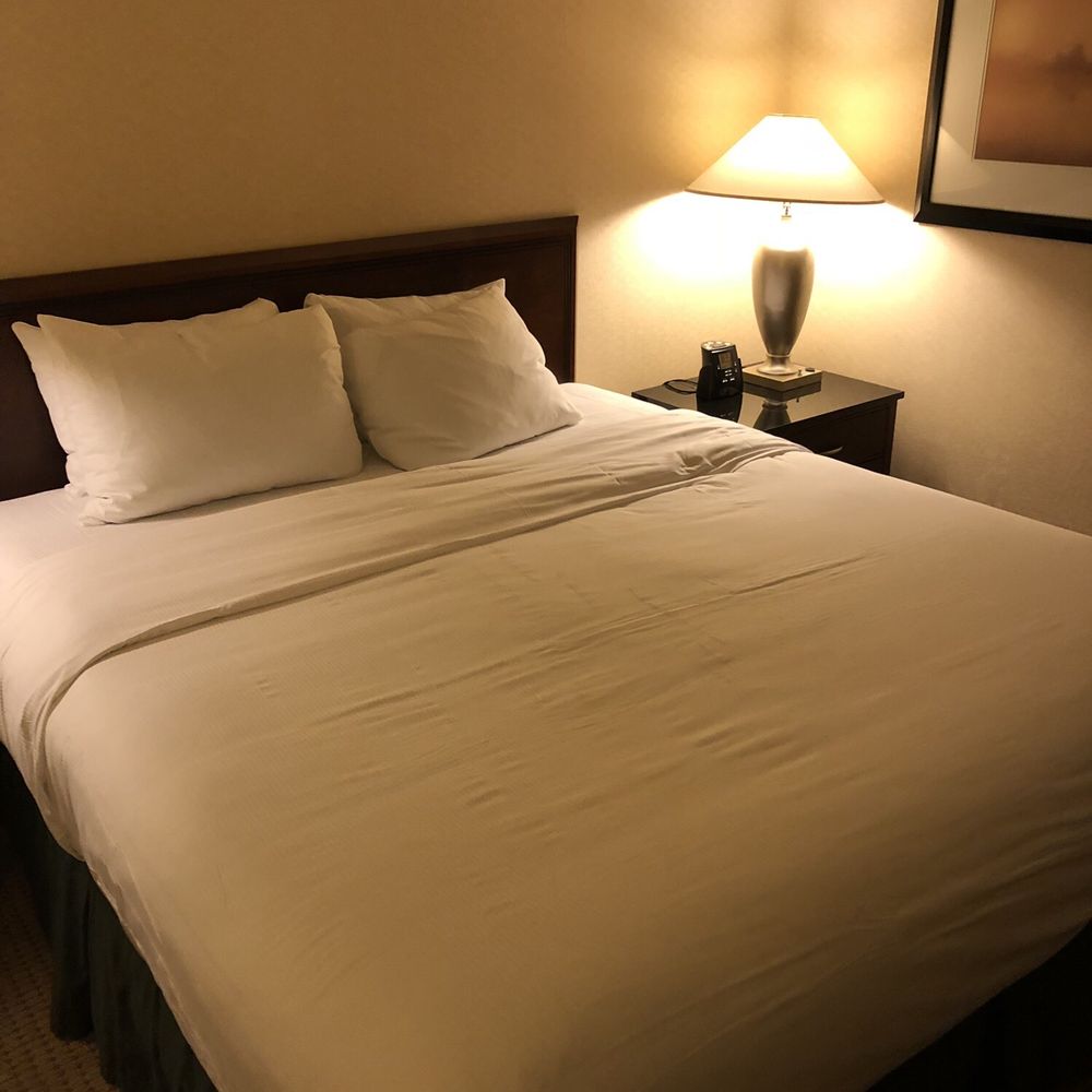 Hilton Chicago O'Hare Airport - Hotels Near Me - Chicago, Illinois