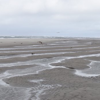 Seaside Beach - Beaches Near Me - Seaside, Oregon