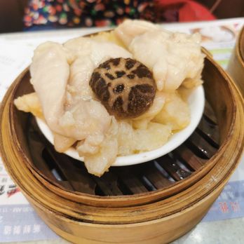 一點心 - Chicken with mushroom and fish maw. The chicken meat is tender, taste is neutral if u add some spicy on top would complement more - Cantonese Near Me - Hong Kong, HK 一點心 - Chicken with mushroom and fish maw. The chicken meat is tender, taste is neutral if u add some spicy on top would complement more - Cantonese Near Me - Hong Kong, HK