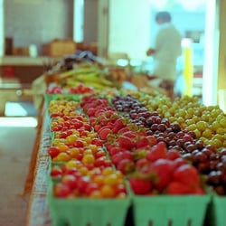 The Produce Patch