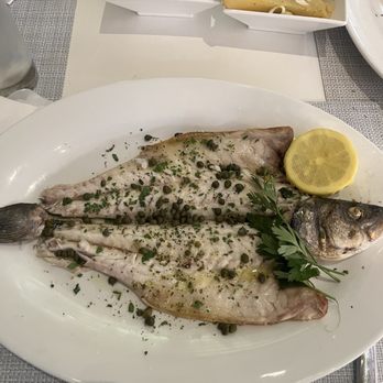Kyma - Branzino - Seafood Near Me - Roslyn, New York Kyma - Branzino - Seafood Near Me - Roslyn, New York