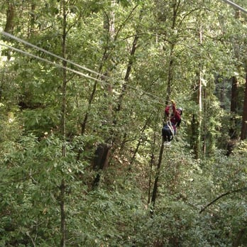 Mount Hermon Adventures - Challenge Courses Near Me - Mount Hermon, California