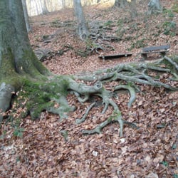 Berg Löwenburg