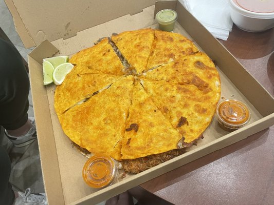 TACO CAT by null