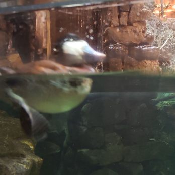 Bass Pro Shops - Outdoor Gear Near Me - Springfield, Missouri