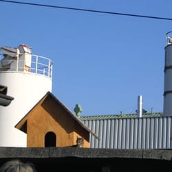 Tierschutz Holzminden-Höxter e.V.