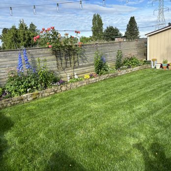 Navarrete Landscape Services - Landscaping Near Me Navarrete Landscape Services - Landscaping Near Me