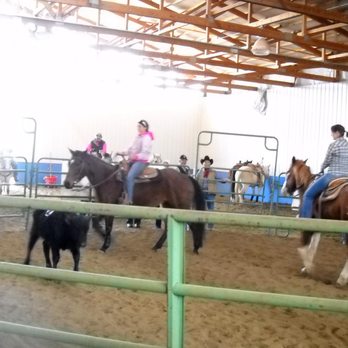 North Harbor Equestrian Center - We even take field trips to assorted equine events! - Horseback Riding Near Me North Harbor Equestrian Center - We even take field trips to assorted equine events! - Horseback Riding Near Me