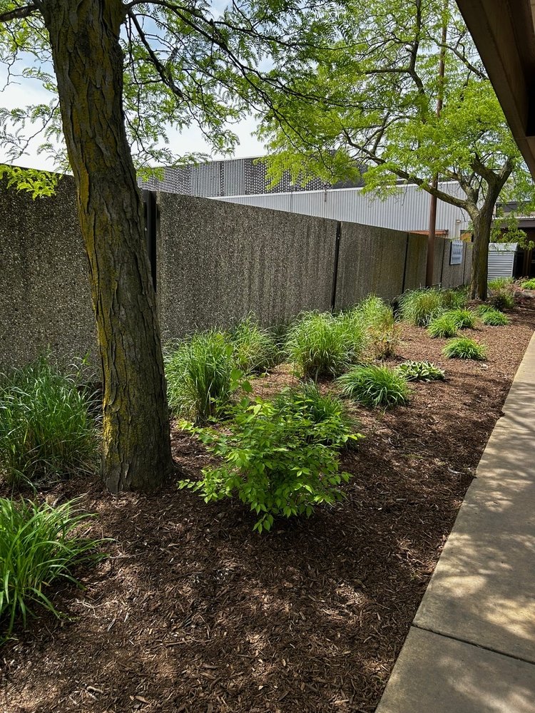 American Outdoor Services - tree service in Peoria, IL